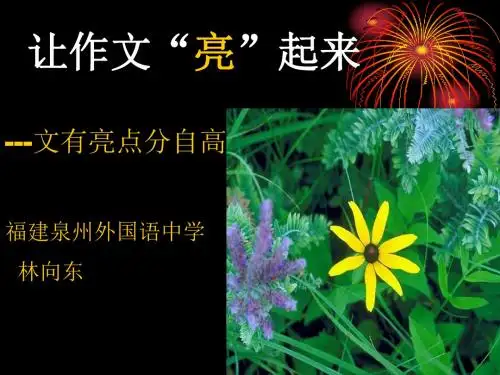 初中作文让作文“亮”起来ppt