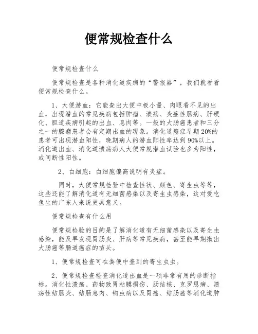 便常规检查什么
