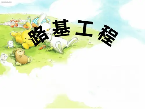 水准点加密.完整版本
