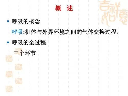 第5章   呼吸   肺通气