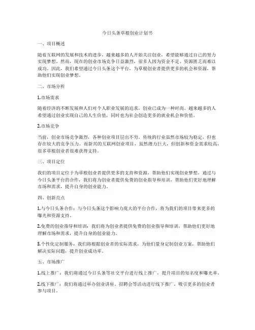 今日头条草根创业计划书