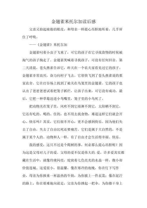 金翅雀米托尔加读后感