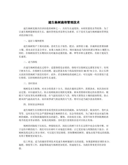 速生杨树栽培管理技术