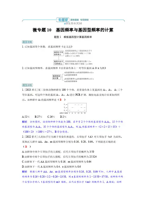 微专题10 基因频率与基因型频率的计算-2025高中生物高考备考