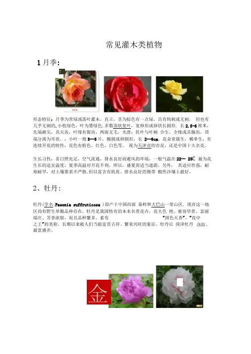 常见灌木类植物