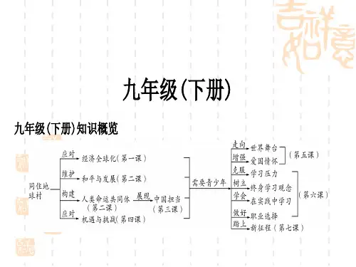 初中毕业道德与法治总复习精讲 一、考点梳理九年级下册 第一单元 我们共同的世界