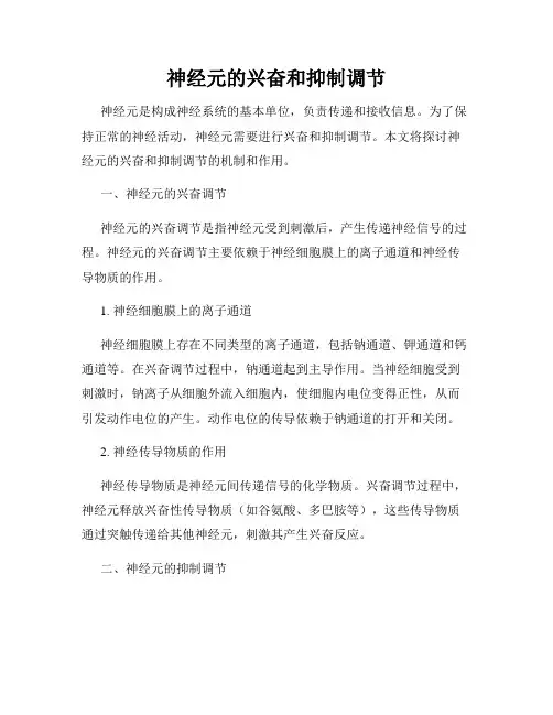 神经元的兴奋和抑制调节
