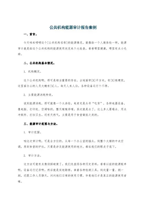 公共机构能源审计报告案例