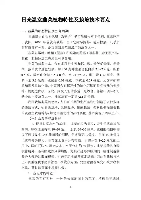 日光温室韭菜植物特性及栽培技术要点