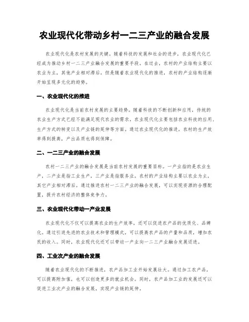农业现代化带动乡村一二三产业的融合发展