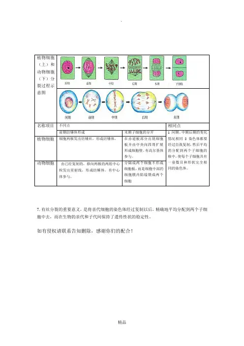 植物细胞和动物细胞分裂示意图