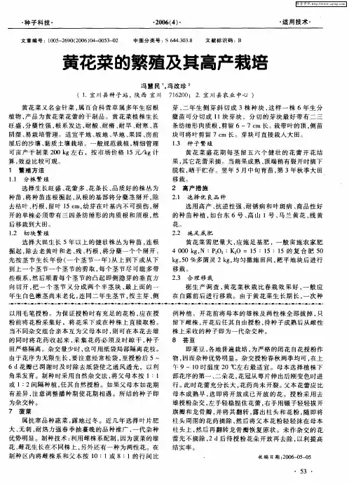 黄花菜的繁殖及其高产栽培