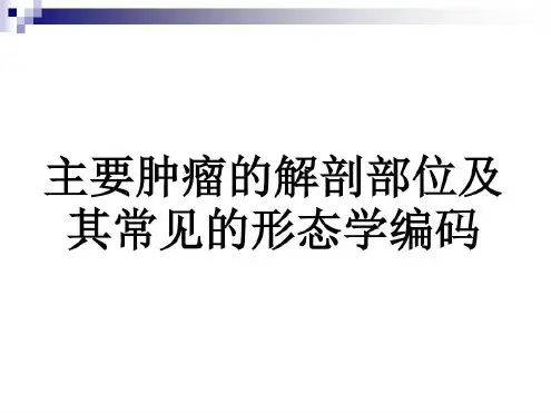 主要肿瘤的解剖部资料-2023年学习资料