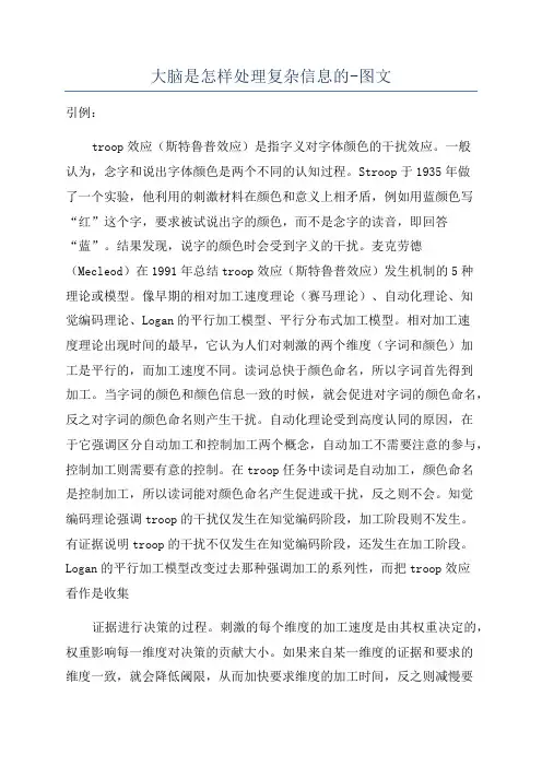 大脑是怎样处理复杂信息的-图文