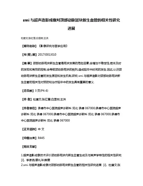 smi与超声造影成像对颈部动脉斑块新生血管的相关性研究进展