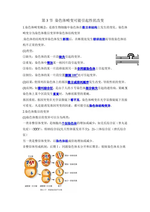 高中生物精品试题：染色体畸变可能引起性状改变