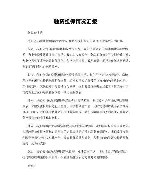 融资担保情况汇报