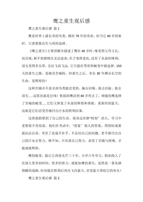 鹰之重生观后感