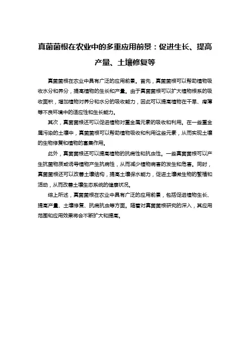 真菌菌根在农业中的多重应用前景：促进生长、提高产量、土壤修复等