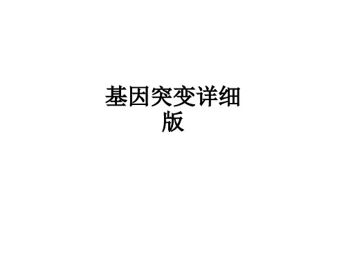 基因突变详细版ppt课件