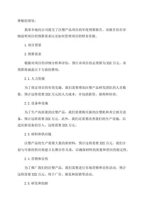 注塑产品项目年度预算报告