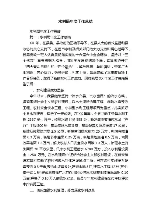 水利局年度工作总结