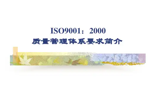ISO9001：2000质量体系要求简介(ppt 128页)