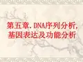 05 兰州大学生物信息学DNA序列分析及基因功能预测