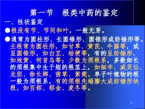 根及根茎类中药PPT课件