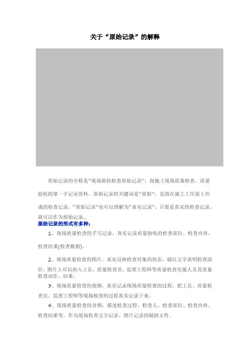 关于“原始记录”的解释