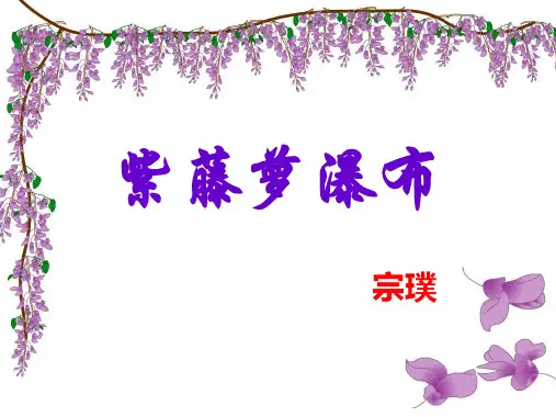 紫藤萝瀑布ppt课件