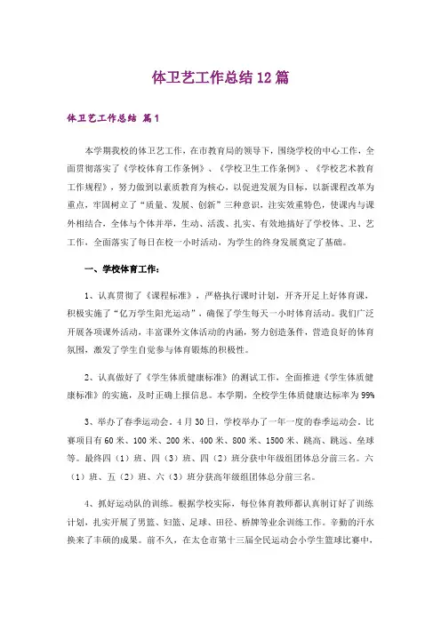 体卫艺工作总结12篇