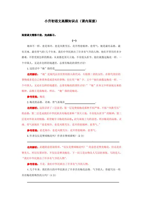 小升初语文高频知识点(课内阅读)(含解析)