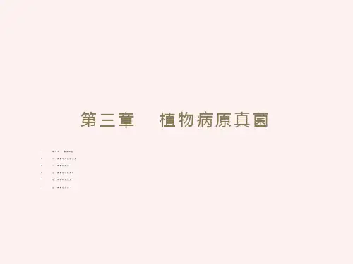 植物病原真菌学-概述