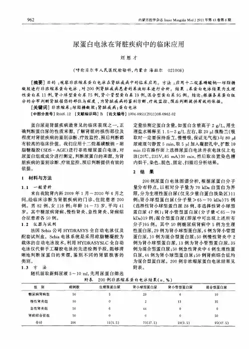 尿蛋白电泳在肾脏疾病中的临床应用