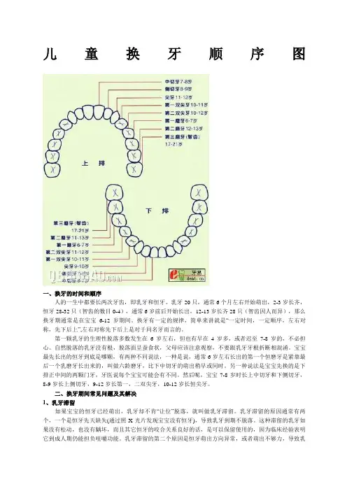 儿童换牙顺序图