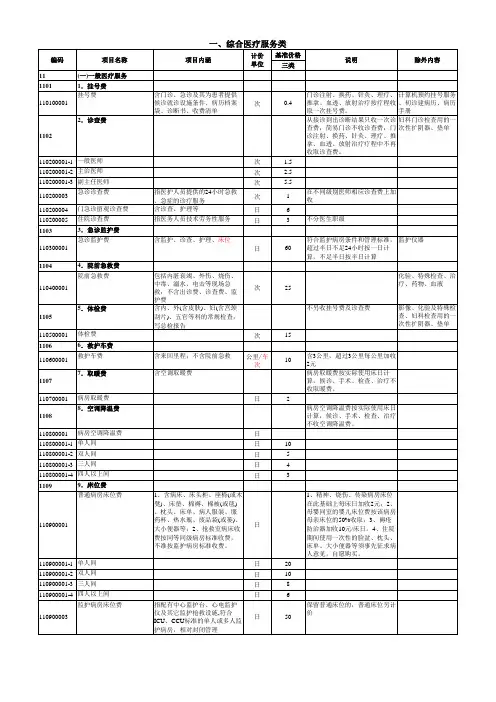 湖南省医疗服务价格表