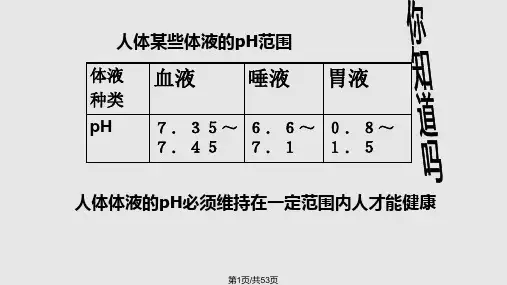高中化学溶液的酸碱性PPT课件