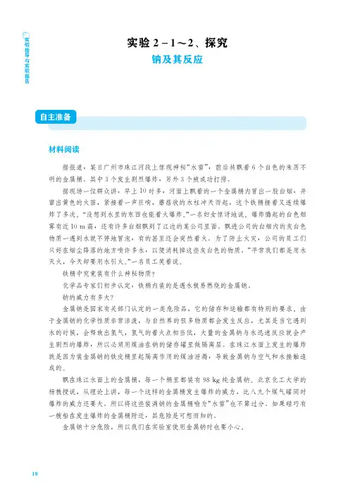 人教版高中化学必修一《钠及其反应》实验报告