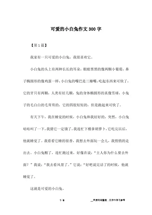 可爱的小白兔作文300字