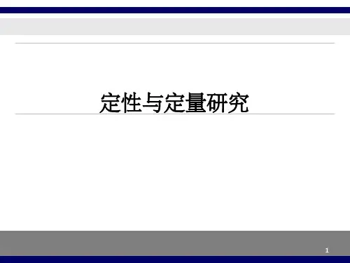 定性定量研究ppt课件