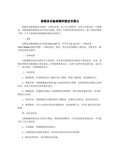 泰顺县东魁杨梅种植技术要点