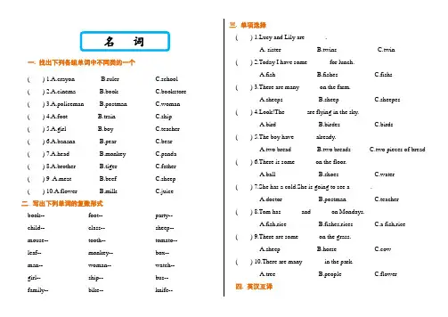 小升初英语语法专项练习题 名词