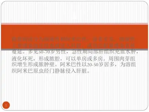 肝脓肿ppt课件