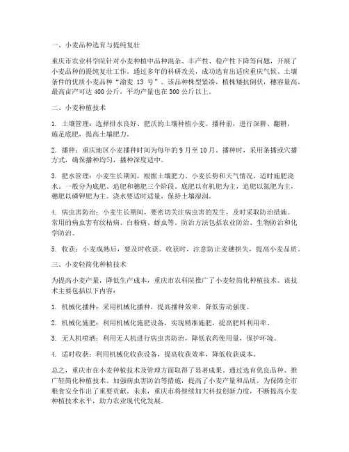 重庆种植小麦技术及管理