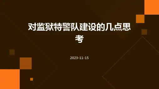 对监狱特警队建设的几点思考