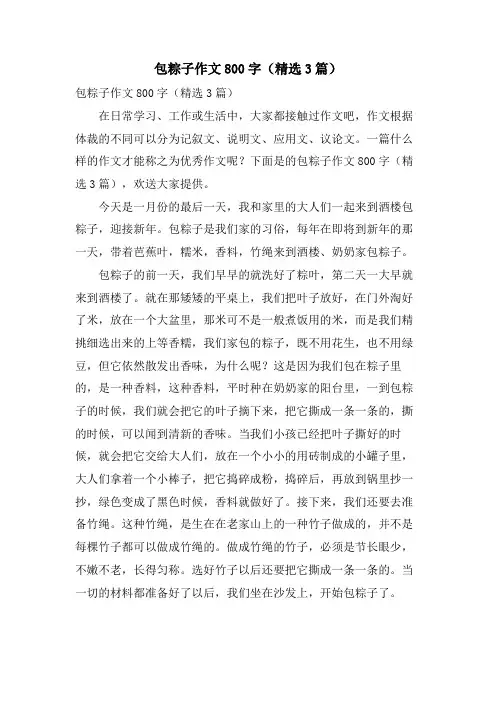 包粽子作文800字(3篇)
