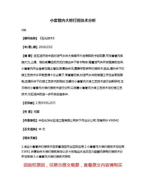 小套管内大修打捞技术分析