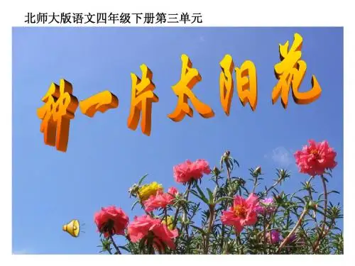 《种一片太阳花_》PPT课件