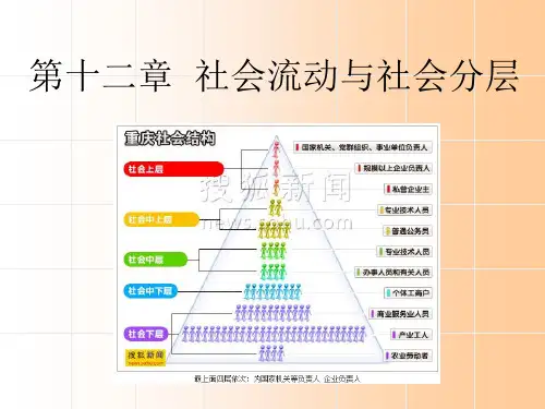 农村社会学-第十二章-社会流动与社会分层